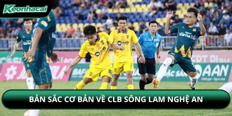 Bản sắc cơ bản về CLB Sông Lam Nghệ An