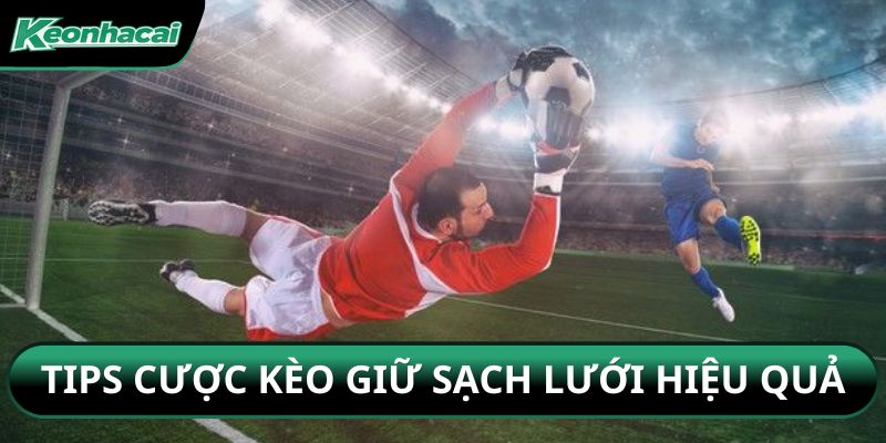 Tips cược kèo giữ sạch lưới hiệu quả