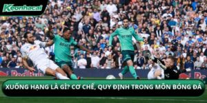 Xuống Hạng Là Gì